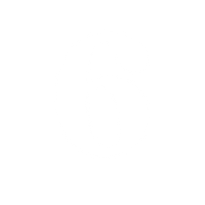 Site Unicorn Shopify Website Developers and more - removing the overwhelm, stress and hassle from ecommerce